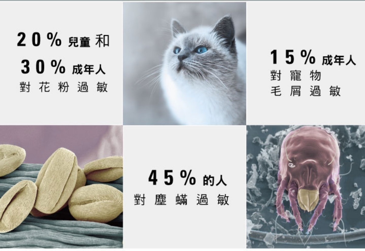 ﹝親子好物﹞瑞士LAURASTAR 高壓蒸汽消毒機∣IZZI 跟IGGI 的差別∣心得分享及使用評價∣英國抗敏協會認證∣英國權威健康雜誌推薦∣寶寶外出必備∣疫情必備∣ - 第1張圖