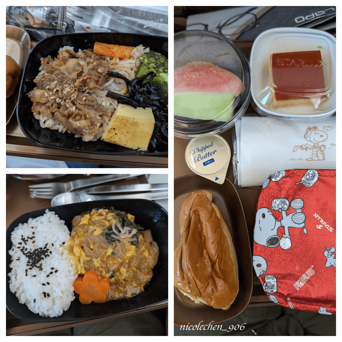 ﹝日本旅遊﹞星宇航空∣史努比迷必搭航空∣搭機心得∣桃園國際機場飛往關西國際機場∣親子友善航空∣ - 第19張圖