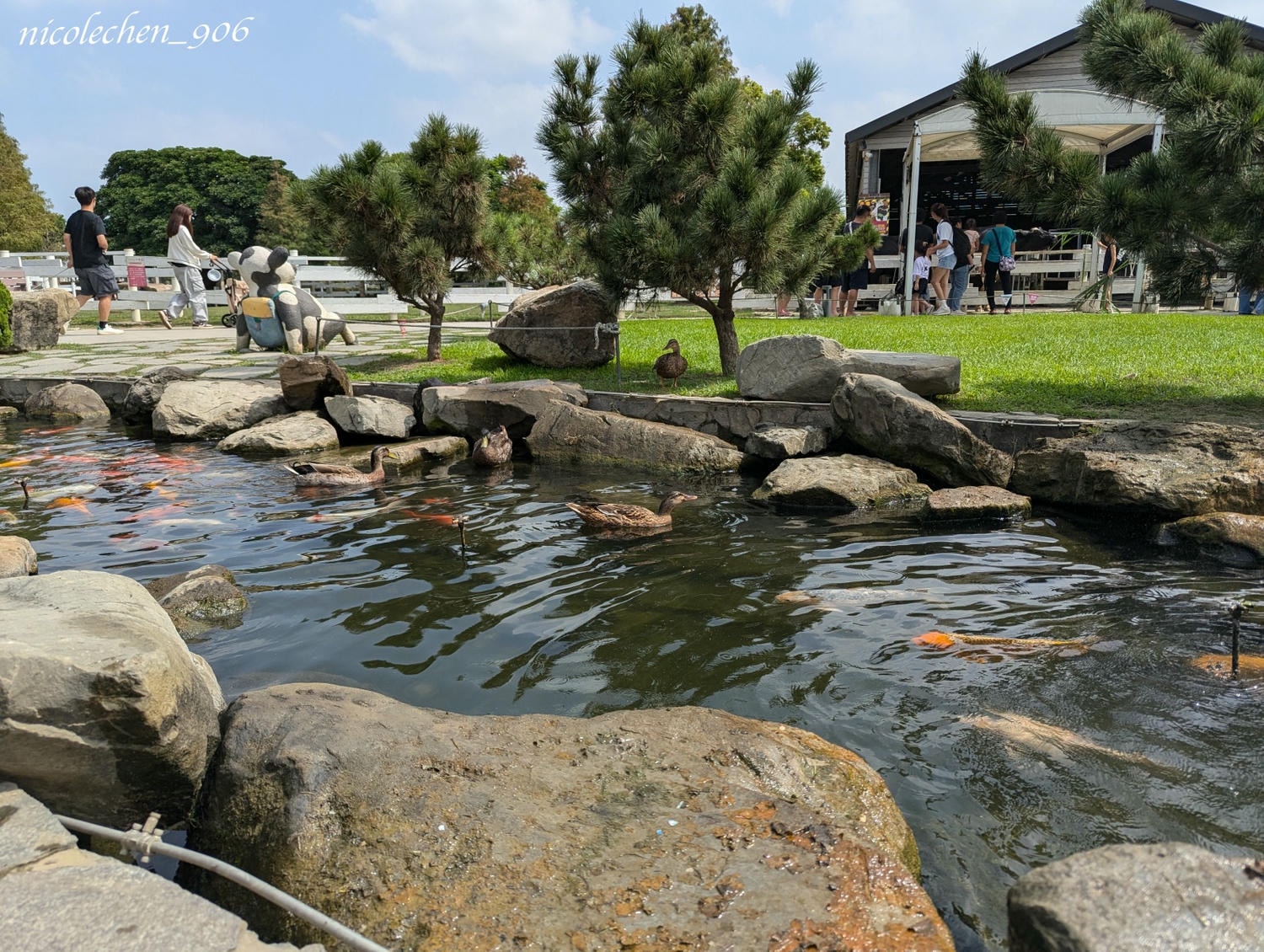 ﹝親子景點﹞雲林崙背千巧谷牛樂園牧場∣親子旅遊∣雲林景點∣雲林免費景點∣雲林牧場∣可以餵牛牛吃草∣連餐點跟伴手禮都豐富又好吃∣ - 第16張圖