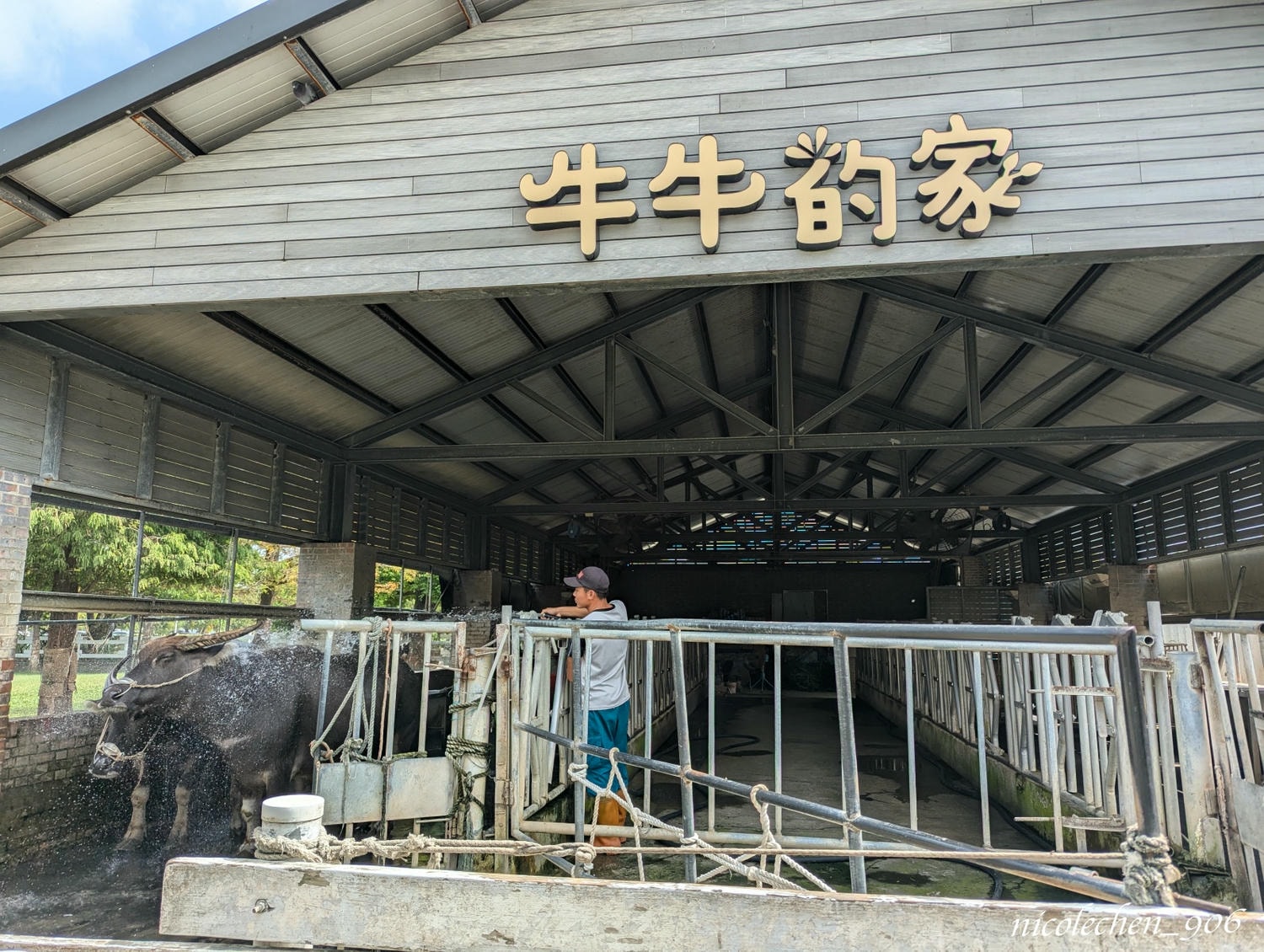 ﹝親子景點﹞雲林崙背千巧谷牛樂園牧場∣親子旅遊∣雲林景點∣雲林免費景點∣雲林牧場∣可以餵牛牛吃草∣連餐點跟伴手禮都豐富又好吃∣ - 第11張圖