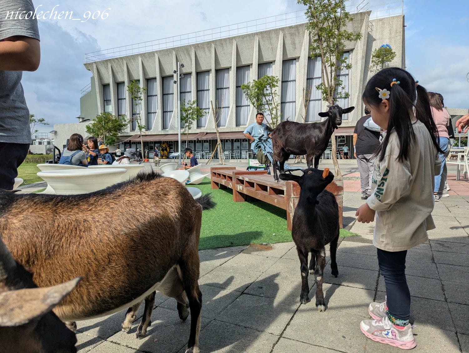 ﹝親子景點﹞屏東潮州鐵道園區∣潮州美食∣潮州景點∣屏東親子景點∣屏東一日遊∣火車迷必來景點∣小朋友最愛的餵動物∣刺激坑爹車 雲霄飛車∣佔地很廣可以盡情跑跑∣ - 第16張圖