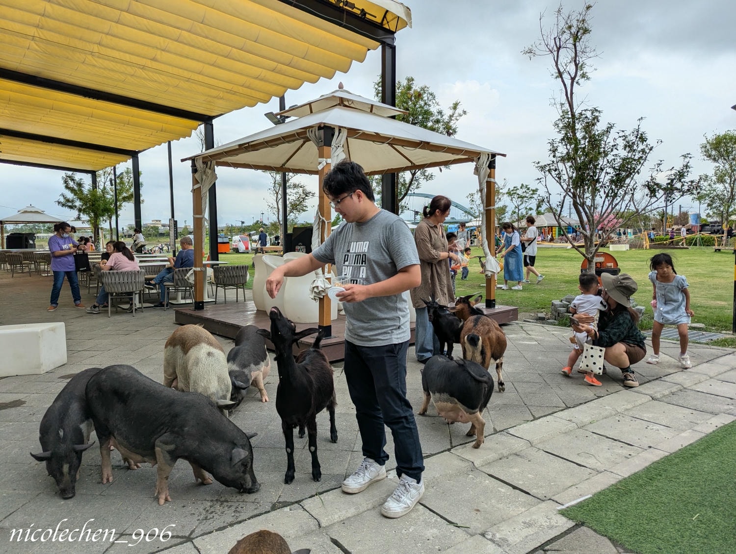 ﹝親子景點﹞屏東潮州鐵道園區∣潮州美食∣潮州景點∣屏東親子景點∣屏東一日遊∣火車迷必來景點∣小朋友最愛的餵動物∣刺激坑爹車 雲霄飛車∣佔地很廣可以盡情跑跑∣ - 第17張圖
