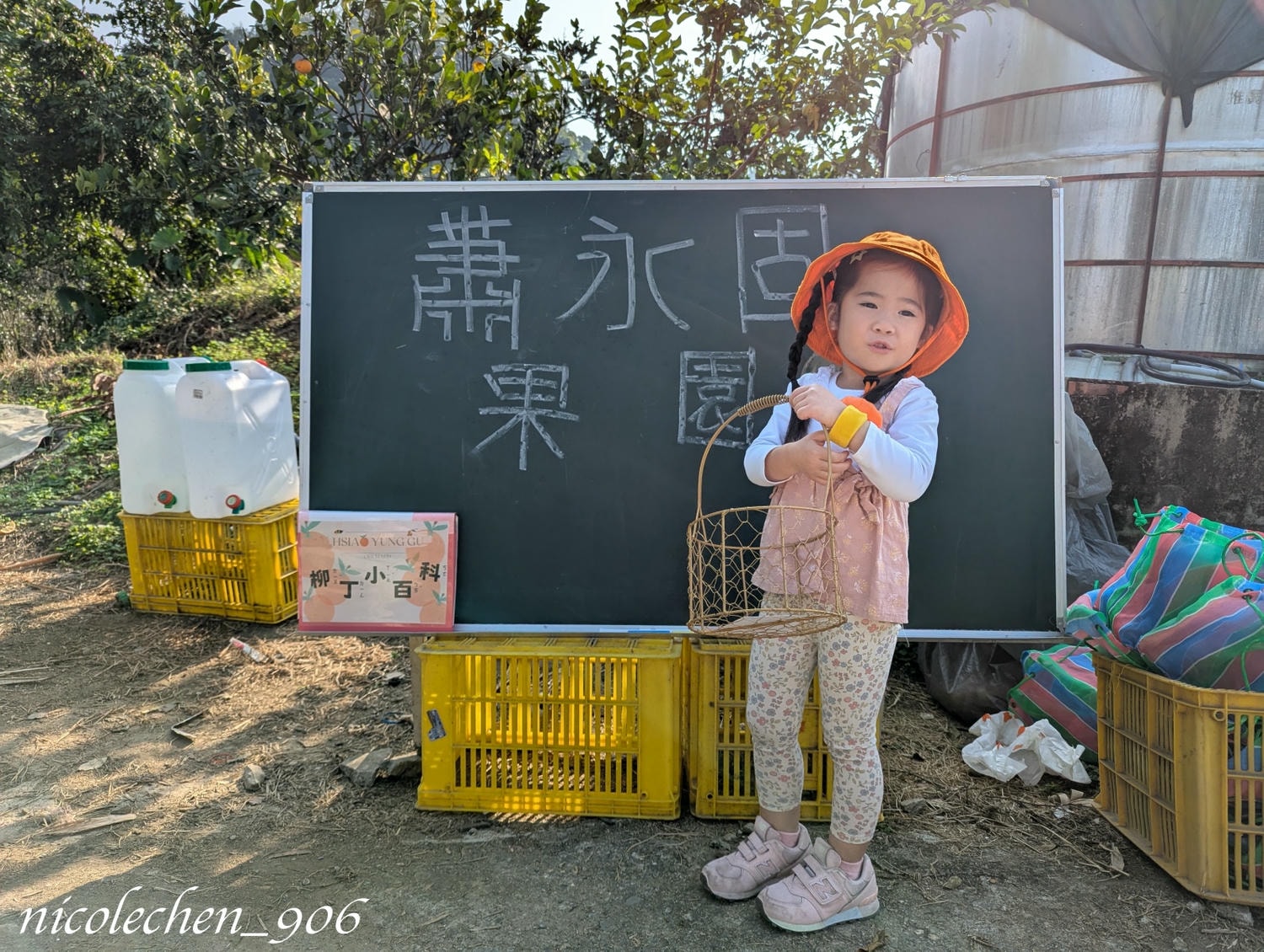 ﹝親子採果﹞冬天就是要採柳丁∣台南東山蕭永固果園∣現採現榨柳丁汁∣園區還準備了很多可愛拍照道具∣適合全家大小的親子景點∣台南親子景點∣寵物友善∣ - 第3張圖