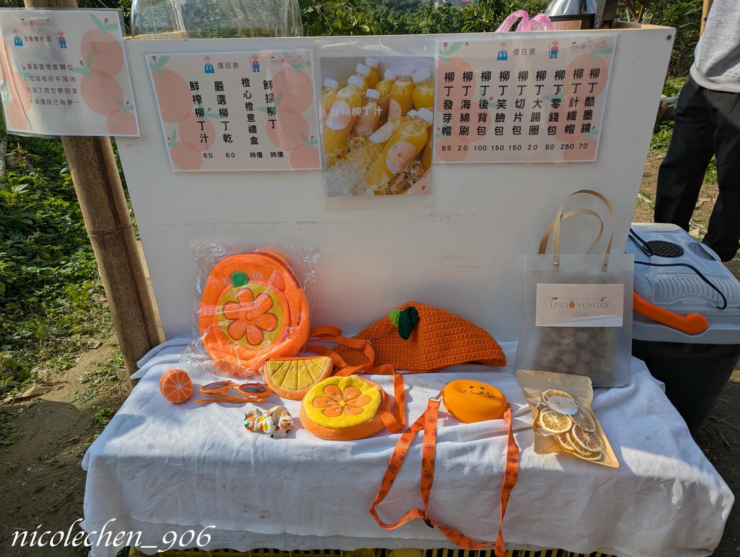﹝親子採果﹞冬天就是要採柳丁∣台南東山蕭永固果園∣現採現榨柳丁汁∣園區還準備了很多可愛拍照道具∣適合全家大小的親子景點∣台南親子景點∣寵物友善∣ - 第5張圖