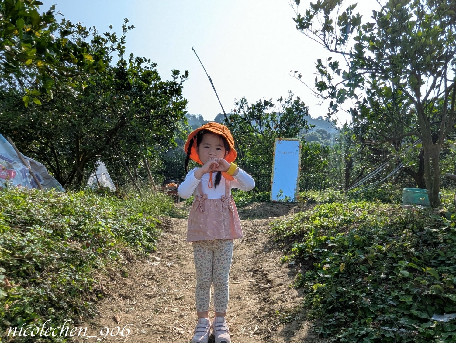 ﹝親子採果﹞冬天就是要採柳丁∣台南東山蕭永固果園∣現採現榨柳丁汁∣園區還準備了很多可愛拍照道具∣適合全家大小的親子景點∣台南親子景點∣寵物友善∣ - 第6張圖