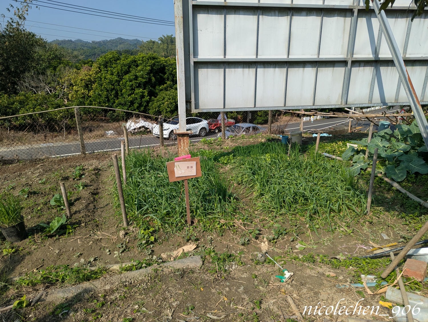 ﹝親子採果﹞冬天就是要採柳丁∣台南東山蕭永固果園∣現採現榨柳丁汁∣園區還準備了很多可愛拍照道具∣適合全家大小的親子景點∣台南親子景點∣寵物友善∣ - 第16張圖
