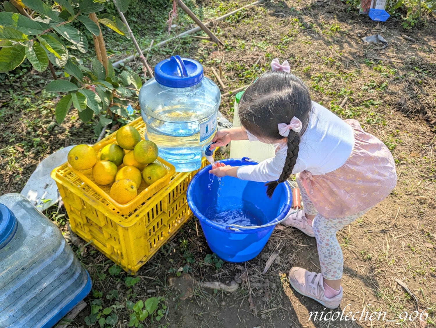 ﹝親子採果﹞冬天就是要採柳丁∣台南東山蕭永固果園∣現採現榨柳丁汁∣園區還準備了很多可愛拍照道具∣適合全家大小的親子景點∣台南親子景點∣寵物友善∣ - 第17張圖