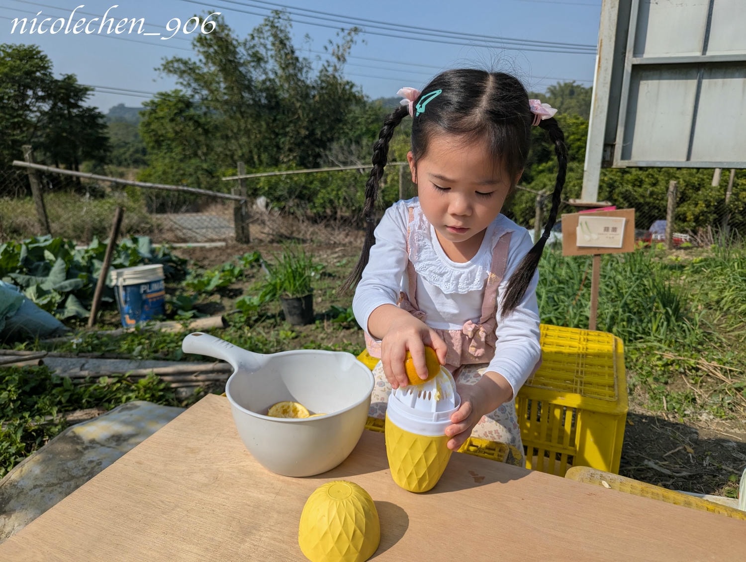﹝親子採果﹞冬天就是要採柳丁∣台南東山蕭永固果園∣現採現榨柳丁汁∣園區還準備了很多可愛拍照道具∣適合全家大小的親子景點∣台南親子景點∣寵物友善∣ - 第18張圖