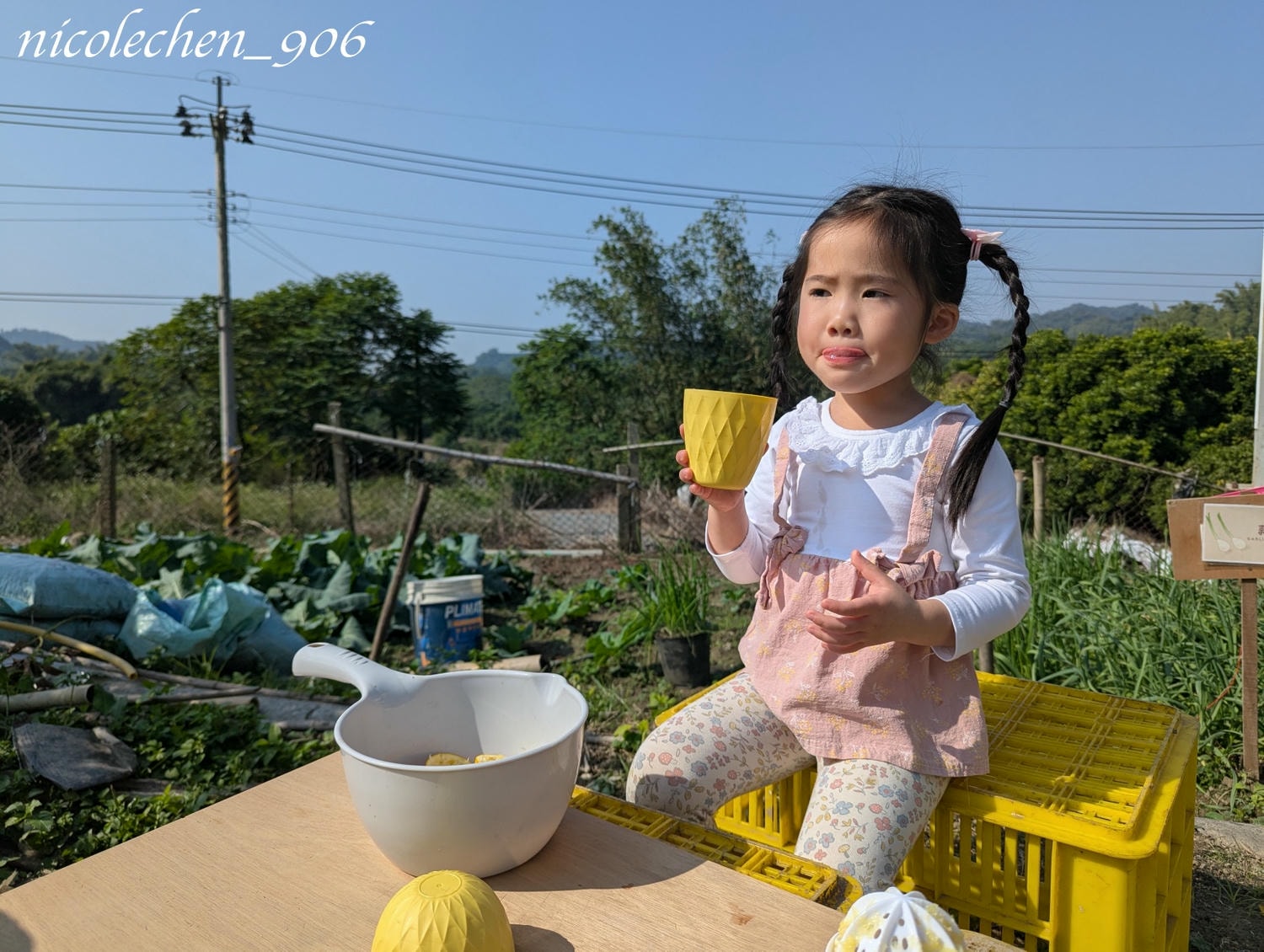 ﹝親子採果﹞冬天就是要採柳丁∣台南東山蕭永固果園∣現採現榨柳丁汁∣園區還準備了很多可愛拍照道具∣適合全家大小的親子景點∣台南親子景點∣寵物友善∣ - 第19張圖