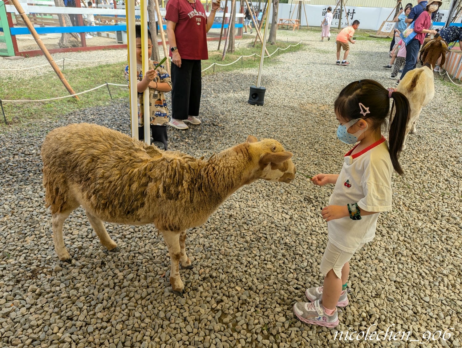 ﹝親子景點﹞嘉義景點∣中埔萌寵村親子樂園∣小朋友最愛的餵動物∣多個免費遊樂設施∣可以放電半天的好地方∣嘉義親子景點∣放電完再去附近的足湯餐廳吃飯∣台版神隱少女油屋 清豐濤月∣ - 第11張圖