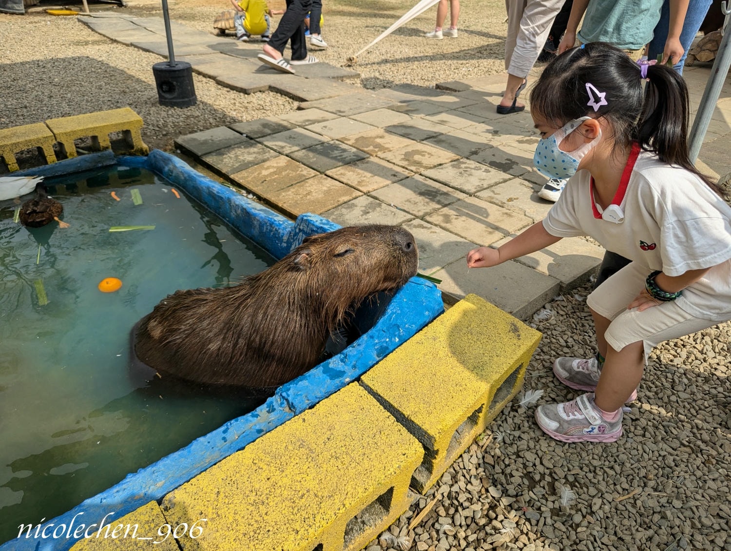 ﹝親子景點﹞嘉義景點∣中埔萌寵村親子樂園∣小朋友最愛的餵動物∣多個免費遊樂設施∣可以放電半天的好地方∣嘉義親子景點∣放電完再去附近的足湯餐廳吃飯∣台版神隱少女油屋 清豐濤月∣ - 第17張圖