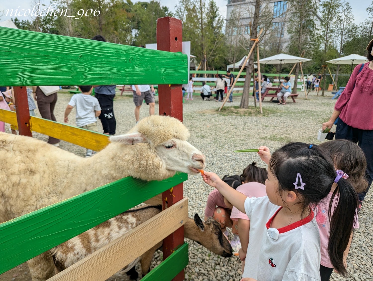 ﹝親子景點﹞嘉義景點∣中埔萌寵村親子樂園∣小朋友最愛的餵動物∣多個免費遊樂設施∣可以放電半天的好地方∣嘉義親子景點∣放電完再去附近的足湯餐廳吃飯∣台版神隱少女油屋 清豐濤月∣ - 第21張圖