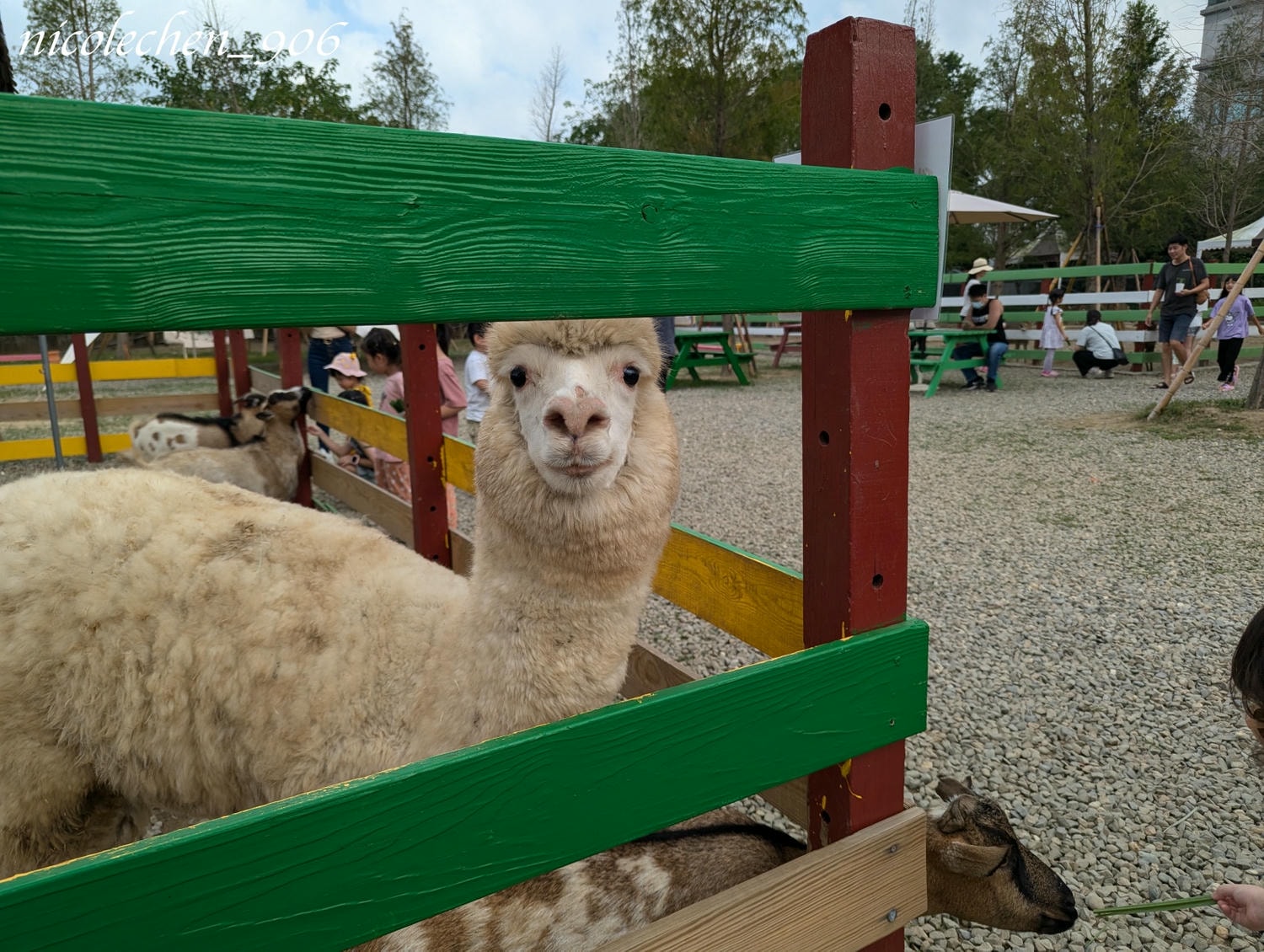 ﹝親子景點﹞嘉義景點∣中埔萌寵村親子樂園∣小朋友最愛的餵動物∣多個免費遊樂設施∣可以放電半天的好地方∣嘉義親子景點∣放電完再去附近的足湯餐廳吃飯∣台版神隱少女油屋 清豐濤月∣ - 第1張圖