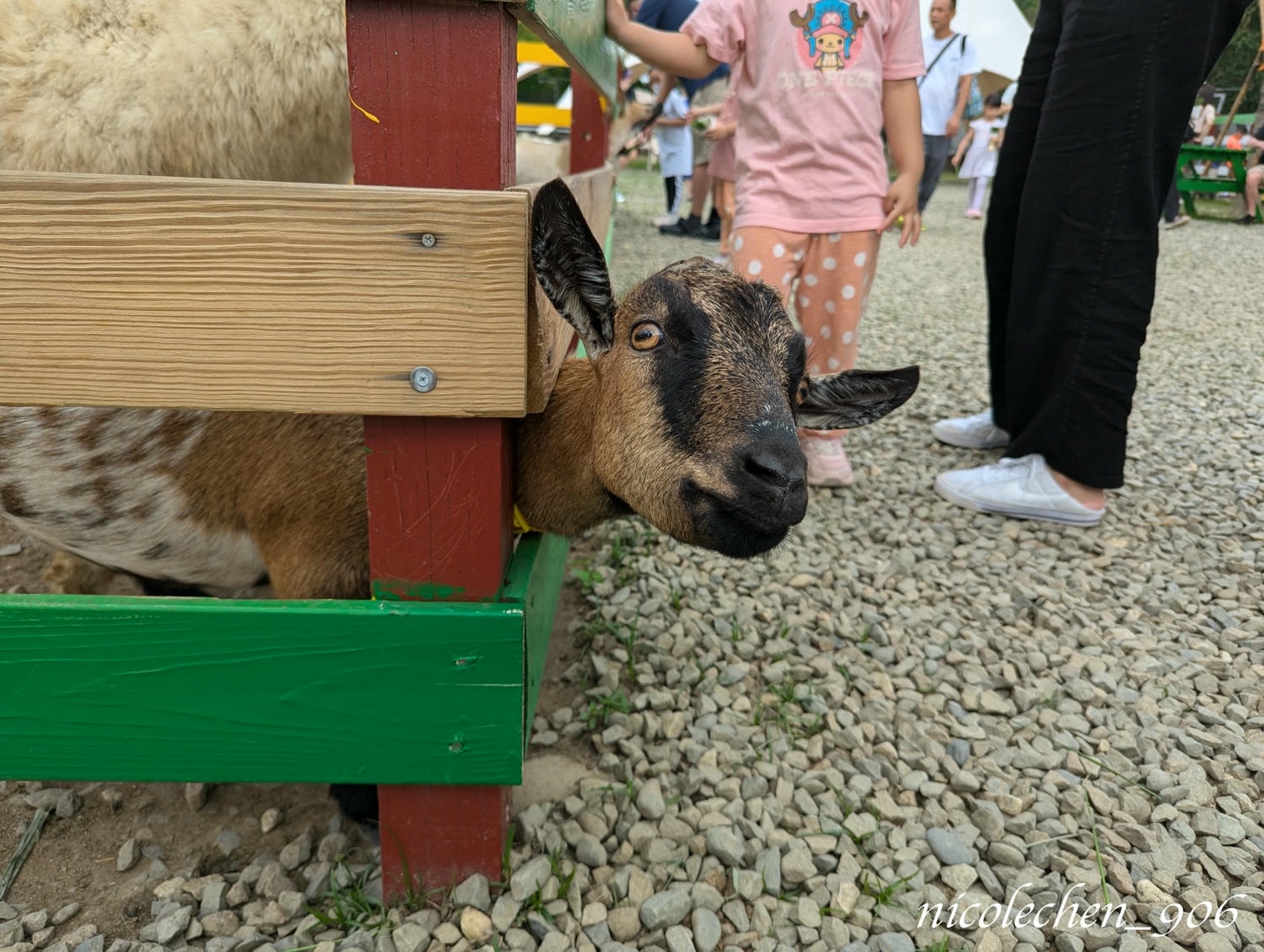 ﹝親子景點﹞嘉義景點∣中埔萌寵村親子樂園∣小朋友最愛的餵動物∣多個免費遊樂設施∣可以放電半天的好地方∣嘉義親子景點∣放電完再去附近的足湯餐廳吃飯∣台版神隱少女油屋 清豐濤月∣ - 第22張圖