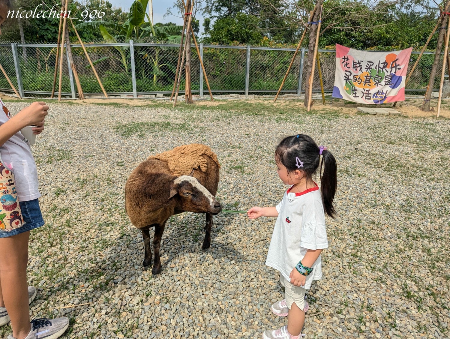﹝親子景點﹞嘉義景點∣中埔萌寵村親子樂園∣小朋友最愛的餵動物∣多個免費遊樂設施∣可以放電半天的好地方∣嘉義親子景點∣放電完再去附近的足湯餐廳吃飯∣台版神隱少女油屋 清豐濤月∣ - 第12張圖