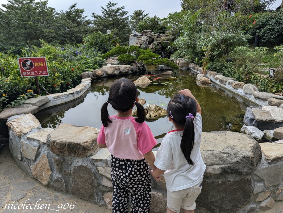 ﹝親子景點﹞嘉義景點∣中埔萌寵村親子樂園∣小朋友最愛的餵動物∣多個免費遊樂設施∣可以放電半天的好地方∣嘉義親子景點∣放電完再去附近的足湯餐廳吃飯∣台版神隱少女油屋 清豐濤月∣ - 第63張圖