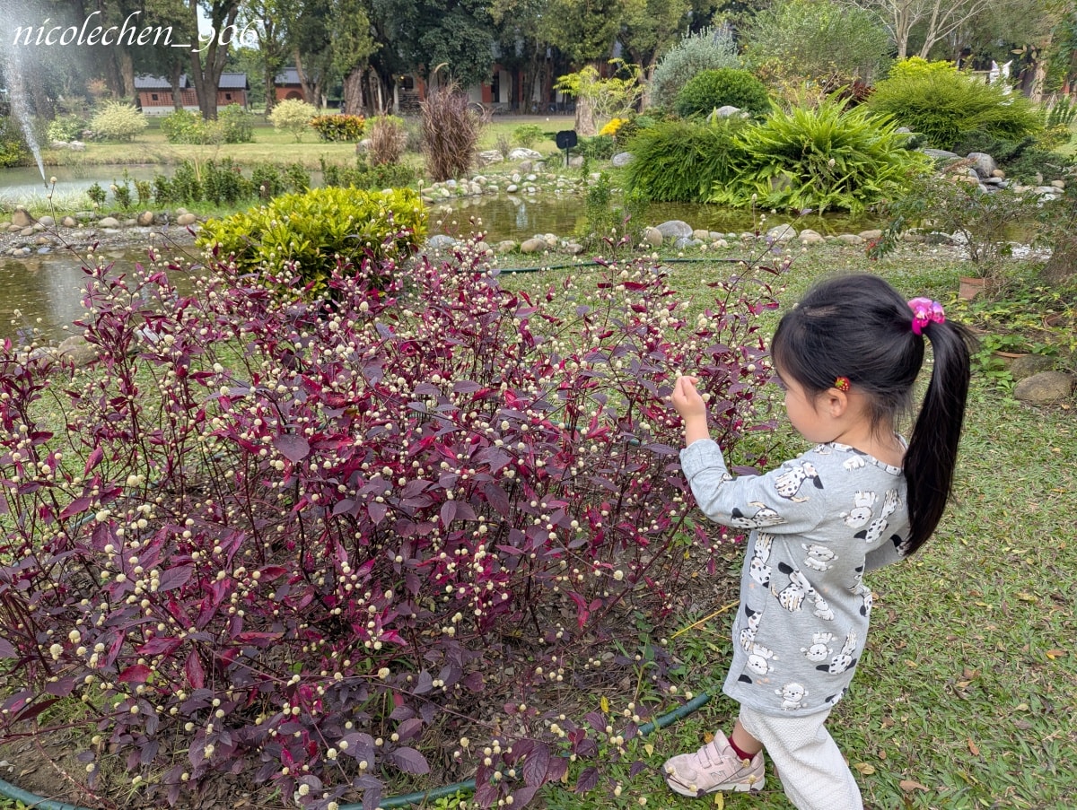 ﹝親子景點﹞台南景點∣山上區花園水道博物館∣寵物友善∣夏天可以玩水∣有森林區也有漂亮的藝術花園∣園區有三間餐廳∣放電完再去木瓜媽吃鯛魚燒∣多種口味鯛魚燒超好吃∣台南親子景點∣ - 第23張圖