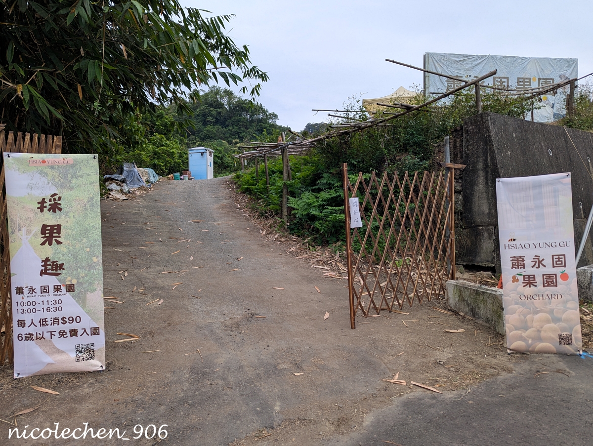 ﹝親子採果﹞冬天就是要採柳丁∣台南東山蕭永固果園∣現採現榨柳丁汁∣園區還準備了很多可愛拍照道具∣適合全家大小的親子景點∣台南親子景點∣寵物友善∣
