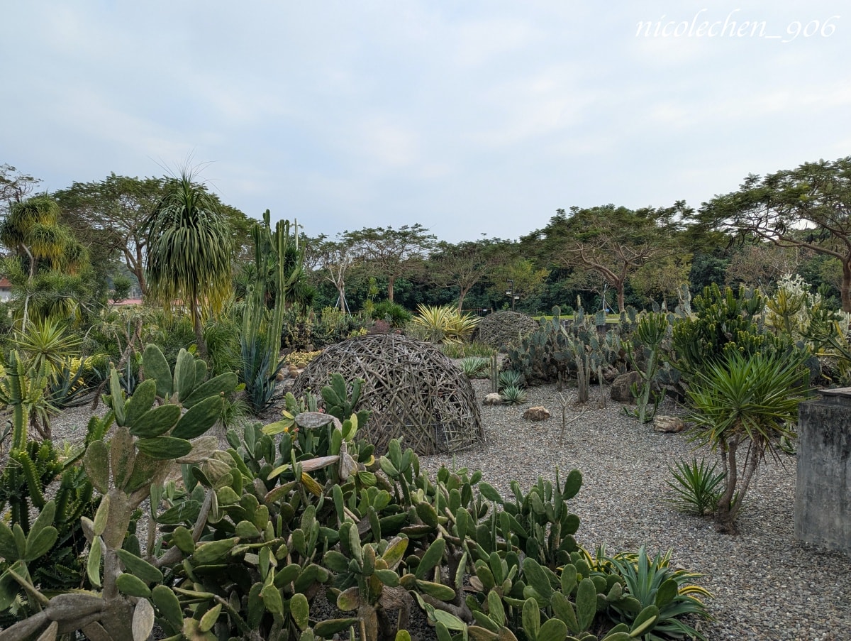 ﹝親子景點﹞台南景點∣山上區花園水道博物館∣寵物友善∣夏天可以玩水∣有森林區也有漂亮的藝術花園∣園區有三間餐廳∣放電完再去木瓜媽吃鯛魚燒∣多種口味鯛魚燒超好吃∣台南親子景點∣ - 第44張圖