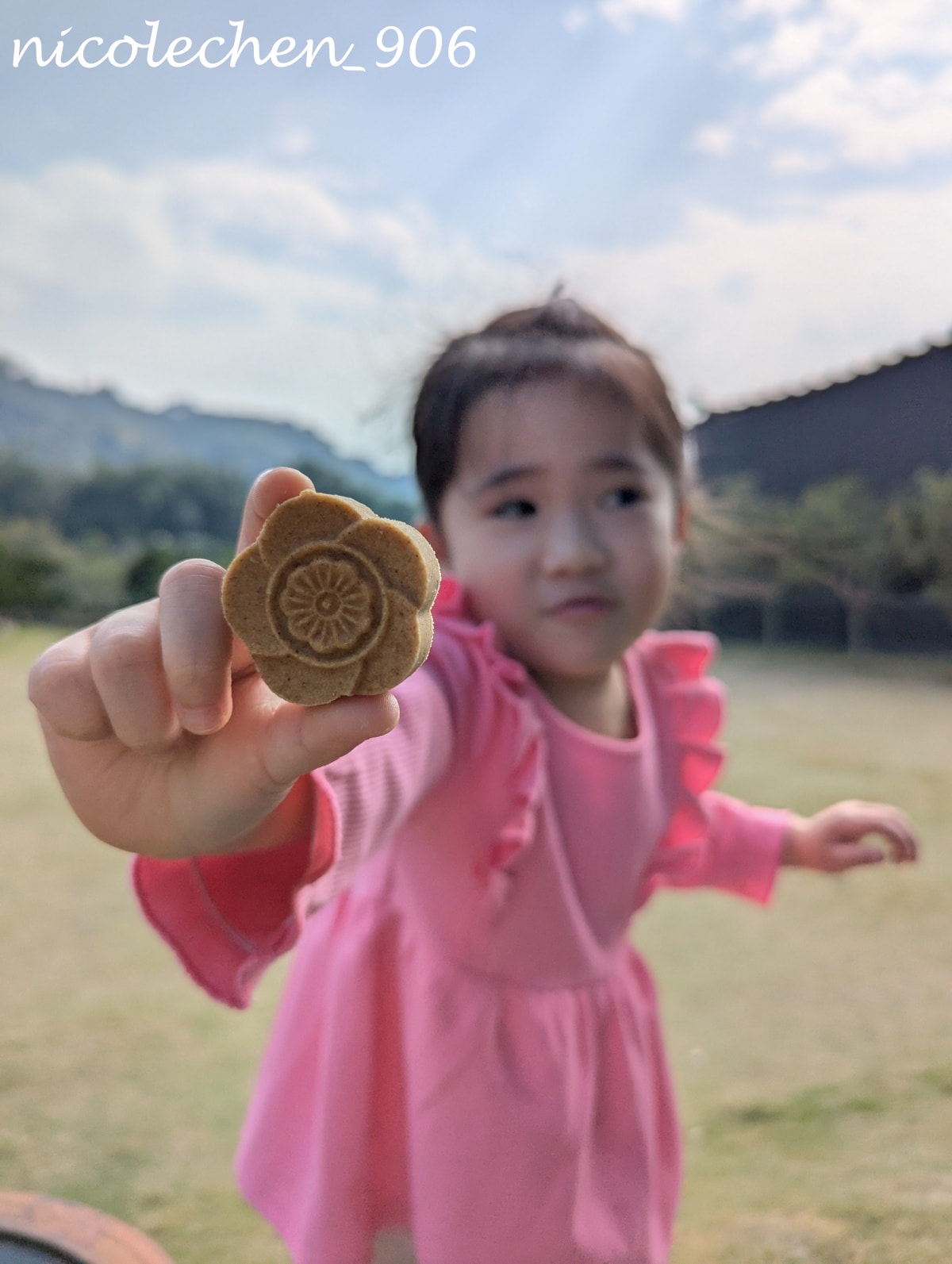 ﹝南投景點﹞每年求財必去的紫南宮∣在周邊商家尋覓美食∣附近的饗富餐廳菜色多元又好吃∣有大片草皮讓小朋友跑跑∣是我的每年回訪餐廳∣ - 第28張圖