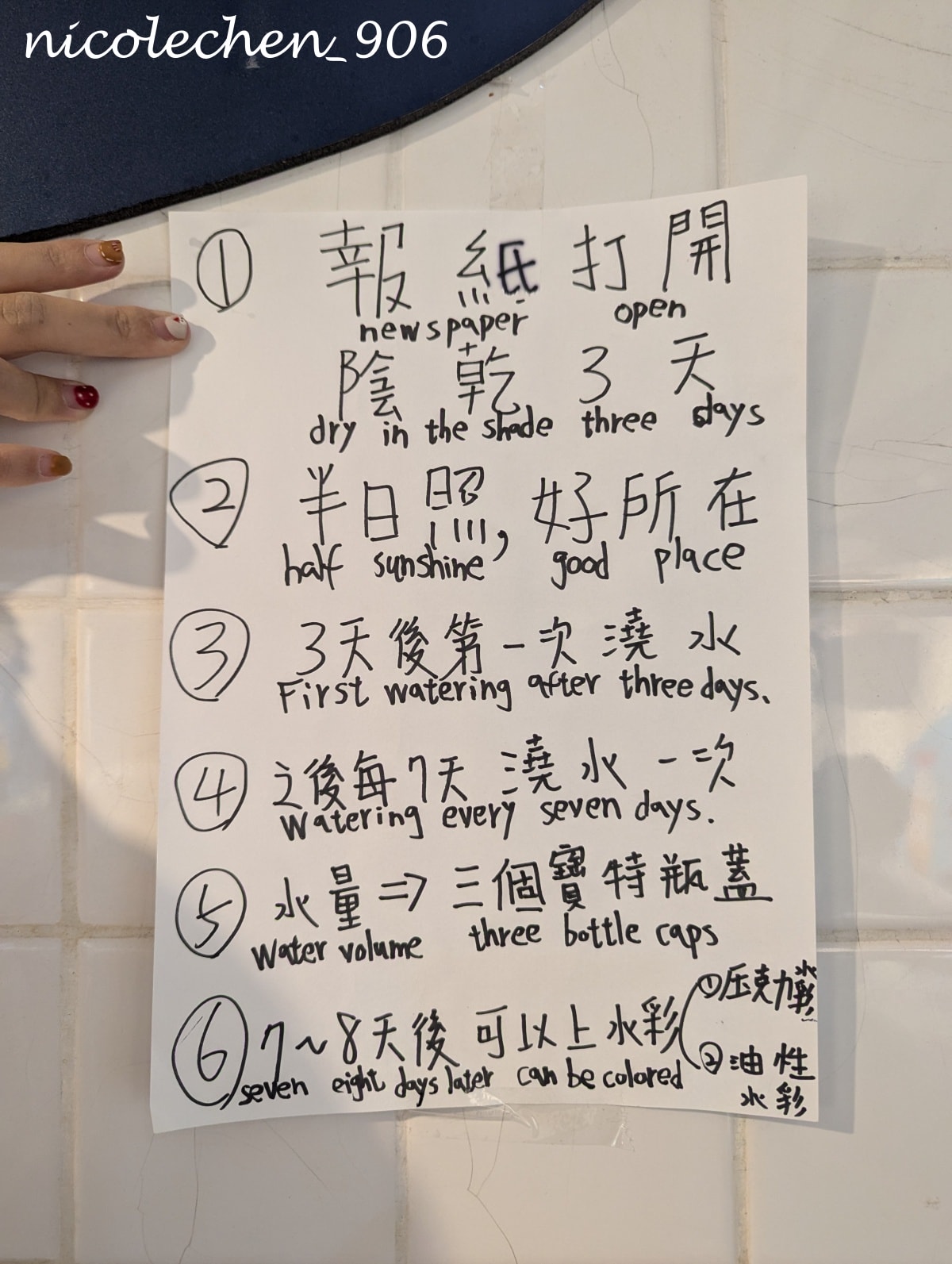 ﹝親子景點﹞欣欣水泥森活園∣嘉義景點∣觀光工廠∣天然工業風景點怎麼拍怎麼美∣DIY 水泥多肉盆栽 造型多又超可愛∣還有戶外遊戲區∣ - 第34張圖