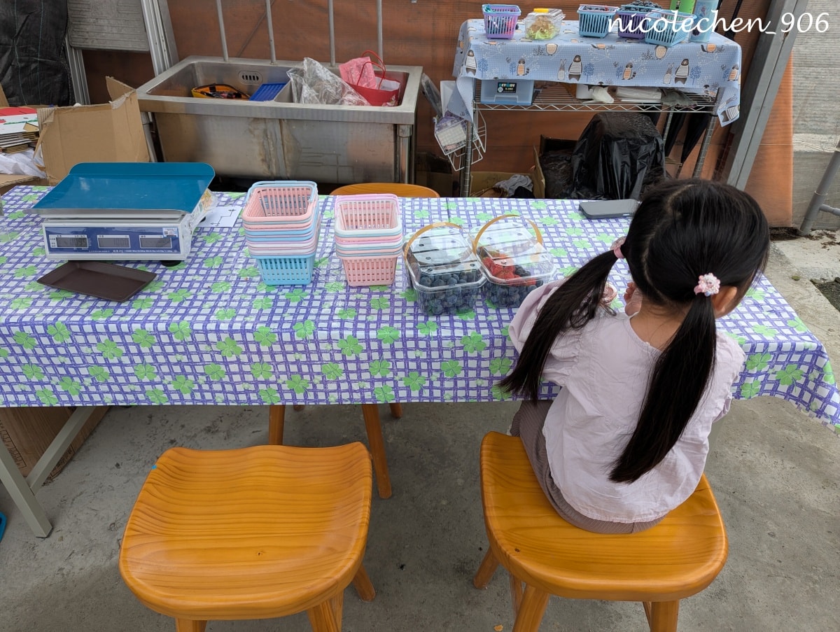 ﹝親子採果﹞彰化景點∣田尾美莓 莓莓果園∣帶著女兒一起採藍莓∣又甜又大顆還帶有花香味的藍莓 超好吃∣絕對會再回訪的採果行程∣把握草莓季尾巴∣來草莓幼幼班採草莓∣ - 第15張圖