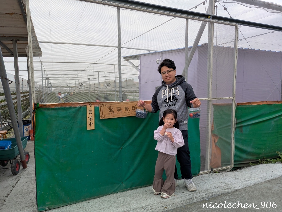 ﹝親子採果﹞彰化景點∣田尾美莓 莓莓果園∣帶著女兒一起採藍莓∣又甜又大顆還帶有花香味的藍莓 超好吃∣絕對會再回訪的採果行程∣把握草莓季尾巴∣來草莓幼幼班採草莓∣ - 第2張圖