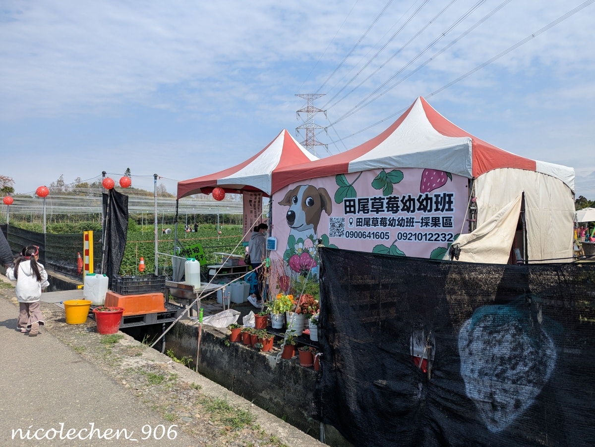 ﹝親子採果﹞彰化景點∣田尾美莓 莓莓果園∣帶著女兒一起採藍莓∣又甜又大顆還帶有花香味的藍莓 超好吃∣絕對會再回訪的採果行程∣把握草莓季尾巴∣來草莓幼幼班採草莓∣ - 第17張圖