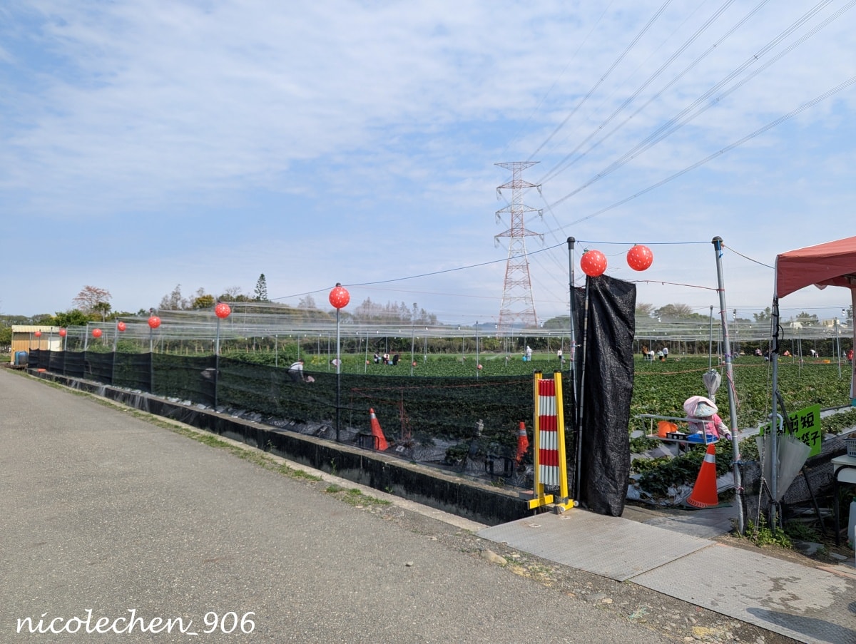 ﹝親子採果﹞彰化景點∣田尾美莓 莓莓果園∣帶著女兒一起採藍莓∣又甜又大顆還帶有花香味的藍莓 超好吃∣絕對會再回訪的採果行程∣把握草莓季尾巴∣來草莓幼幼班採草莓∣ - 第18張圖