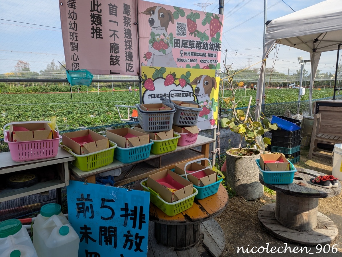 ﹝親子採果﹞彰化景點∣田尾美莓 莓莓果園∣帶著女兒一起採藍莓∣又甜又大顆還帶有花香味的藍莓 超好吃∣絕對會再回訪的採果行程∣把握草莓季尾巴∣來草莓幼幼班採草莓∣ - 第20張圖