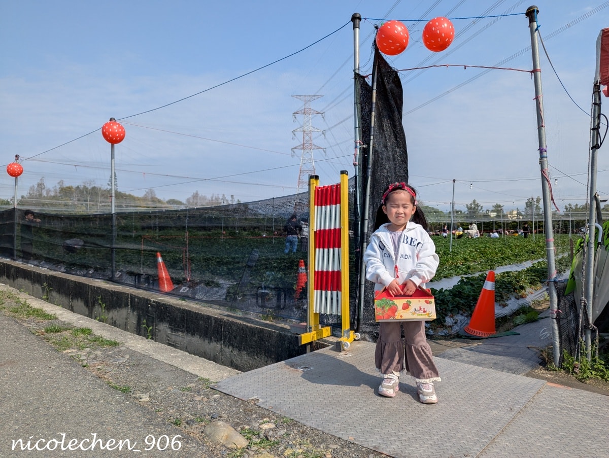 ﹝親子採果﹞彰化景點∣田尾美莓 莓莓果園∣帶著女兒一起採藍莓∣又甜又大顆還帶有花香味的藍莓 超好吃∣絕對會再回訪的採果行程∣把握草莓季尾巴∣來草莓幼幼班採草莓∣ - 第28張圖
