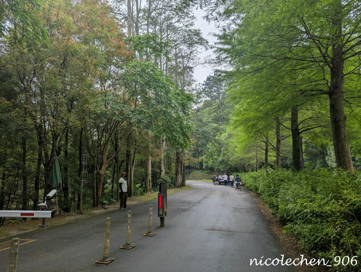 ﹝親子景點﹞四季皆有不同景色的麻布山林∣新竹景點∣滿山坡的螢火蟲∣大自然是最棒的課本∣北埔老街逛逛∣喝擂茶 吃粄條 買菜包∣ - 第31張圖