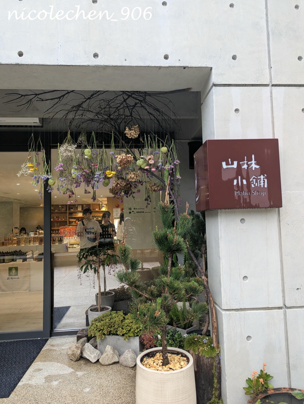 ﹝親子景點﹞四季皆有不同景色的麻布山林∣新竹景點∣滿山坡的螢火蟲∣大自然是最棒的課本∣北埔老街逛逛∣喝擂茶 吃粄條 買菜包∣ - 第34張圖