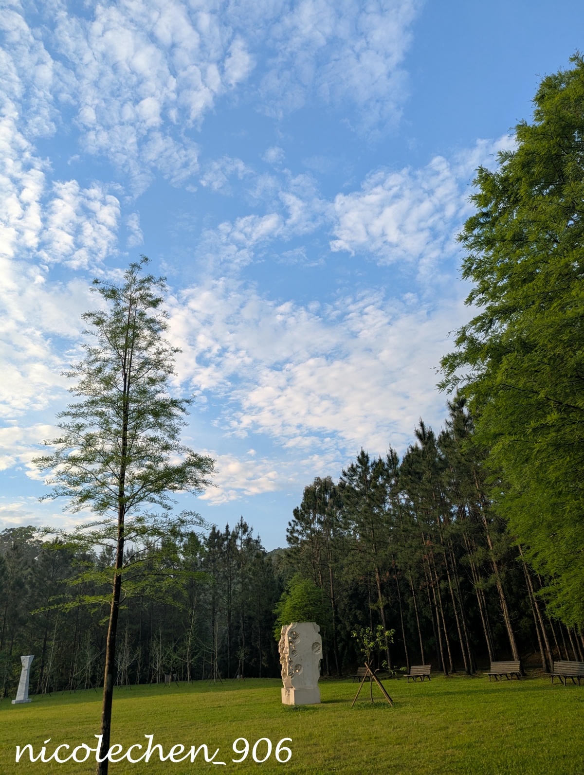 ﹝親子景點﹞四季皆有不同景色的麻布山林∣新竹景點∣滿山坡的螢火蟲∣大自然是最棒的課本∣北埔老街逛逛∣喝擂茶 吃粄條 買菜包∣ - 第51張圖