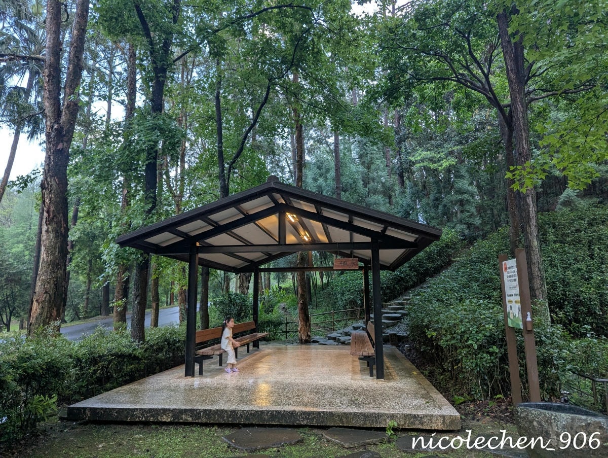 ﹝親子景點﹞四季皆有不同景色的麻布山林∣新竹景點∣滿山坡的螢火蟲∣大自然是最棒的課本∣北埔老街逛逛∣喝擂茶 吃粄條 買菜包∣ - 第57張圖