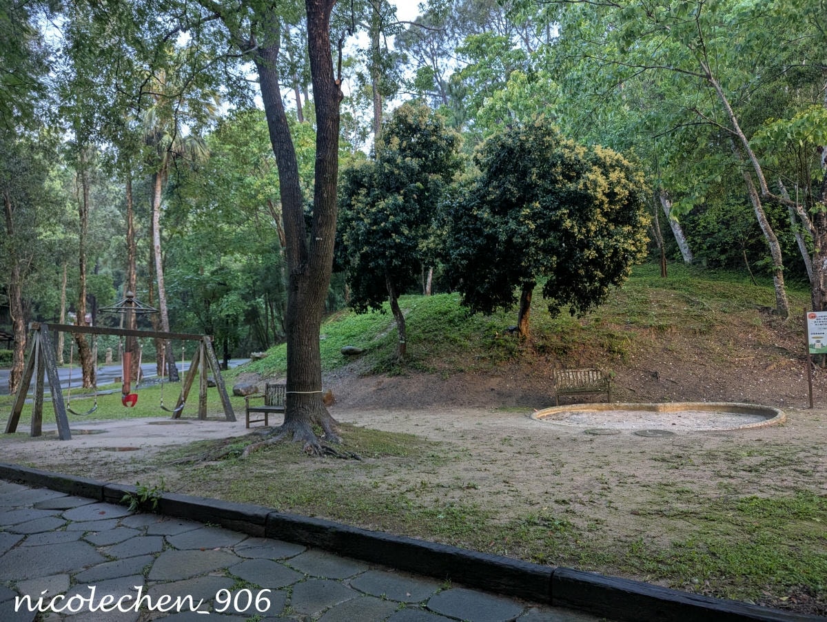 ﹝親子景點﹞四季皆有不同景色的麻布山林∣新竹景點∣滿山坡的螢火蟲∣大自然是最棒的課本∣北埔老街逛逛∣喝擂茶 吃粄條 買菜包∣ - 第61張圖