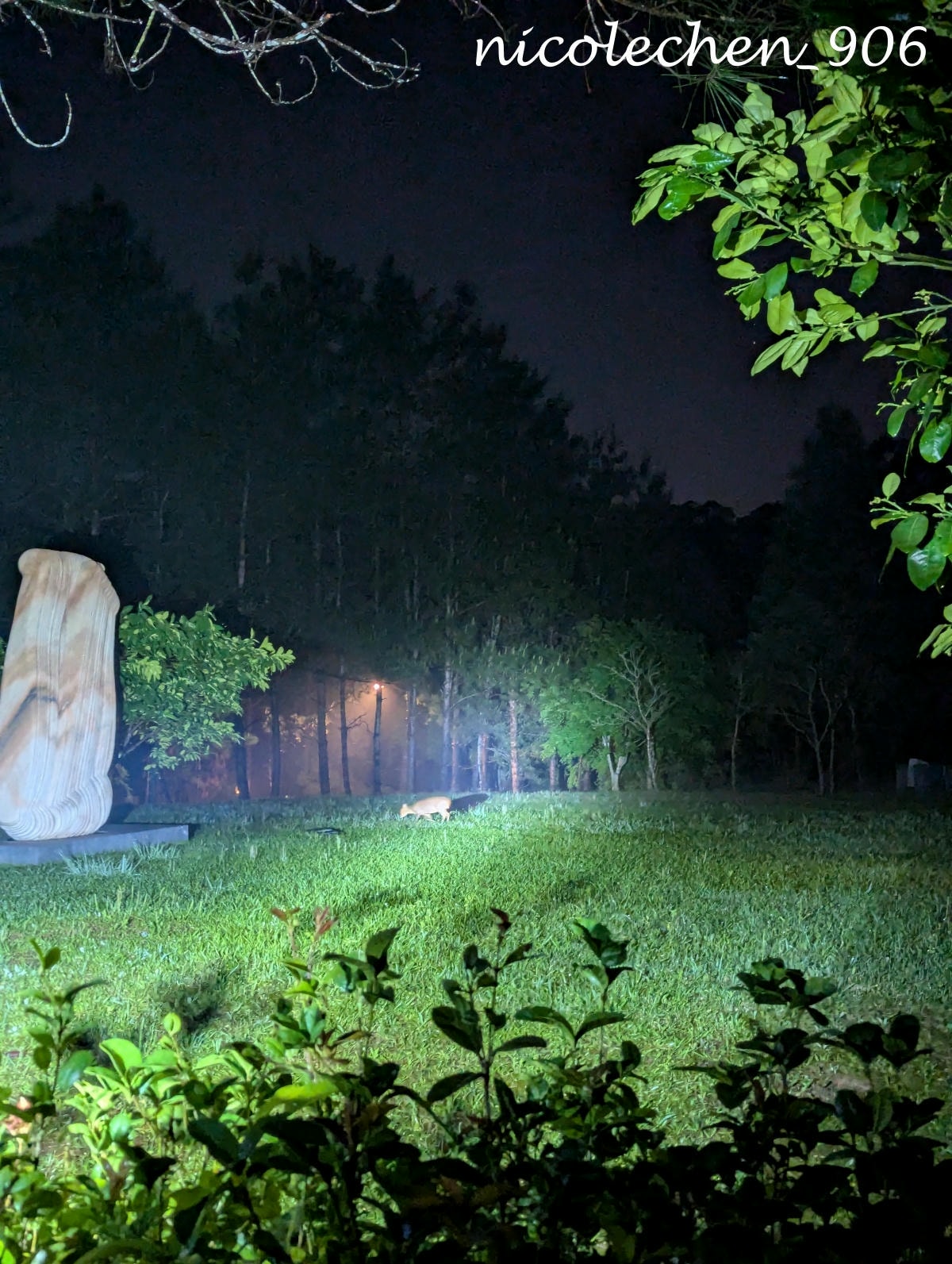 ﹝親子景點﹞四季皆有不同景色的麻布山林∣新竹景點∣滿山坡的螢火蟲∣大自然是最棒的課本∣北埔老街逛逛∣喝擂茶 吃粄條 買菜包∣ - 第48張圖