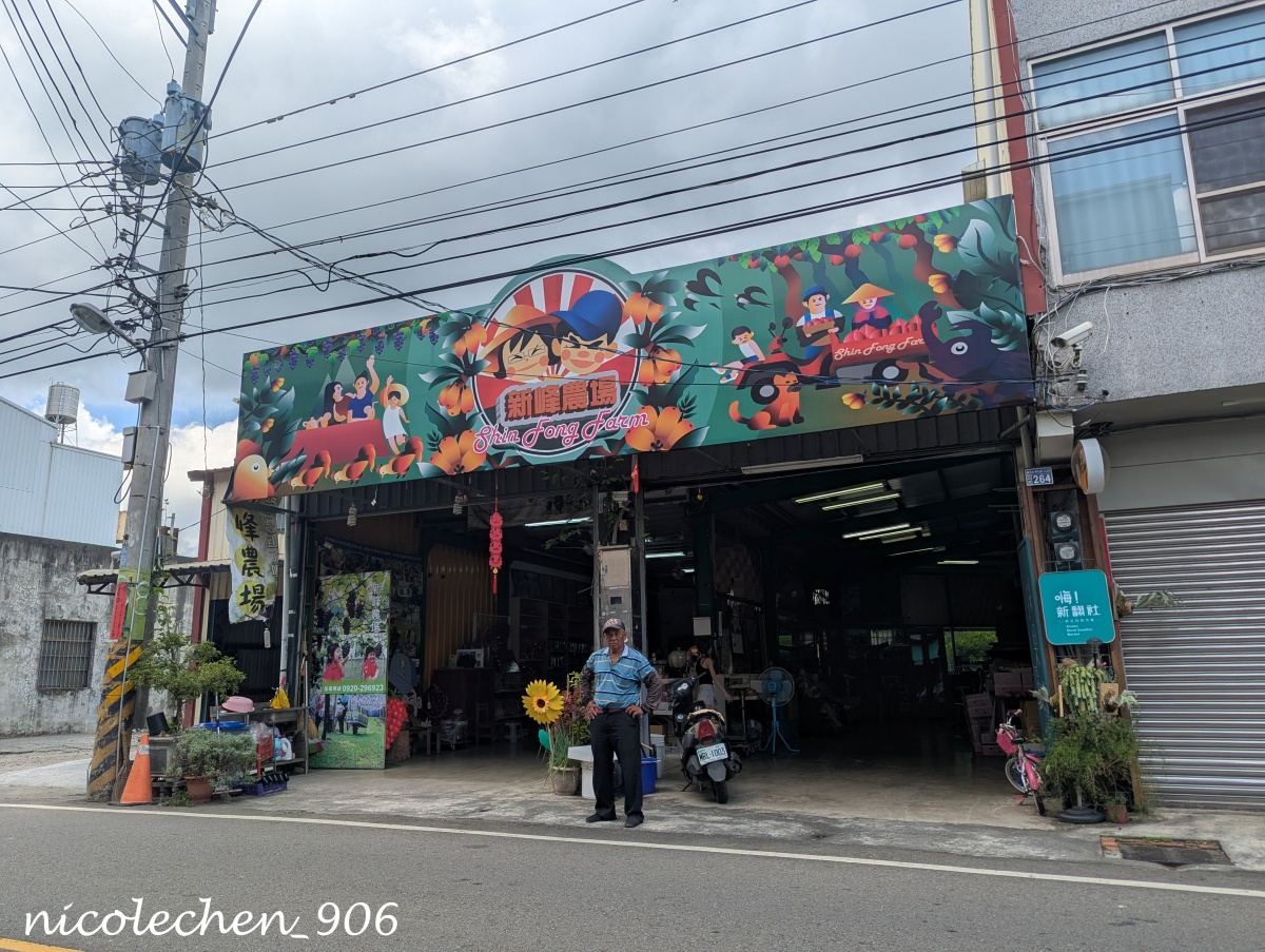 ﹝親子採果﹞台中新社新峰農場採甜蜜桃∣產季到6月初∣人不會太多採果品質好∣採完蜜桃可以再去薰衣草森林看繡球花∣台中親子一日遊∣新社景點∣ - 第2張圖
