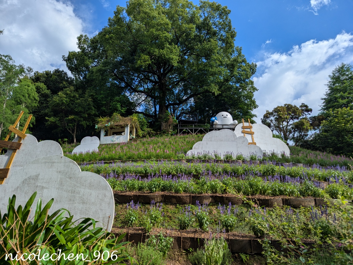 ﹝親子採果﹞台中新社新峰農場採甜蜜桃∣產季到6月初∣人不會太多採果品質好∣採完蜜桃可以再去薰衣草森林看繡球花∣台中親子一日遊∣新社景點∣ - 第51張圖