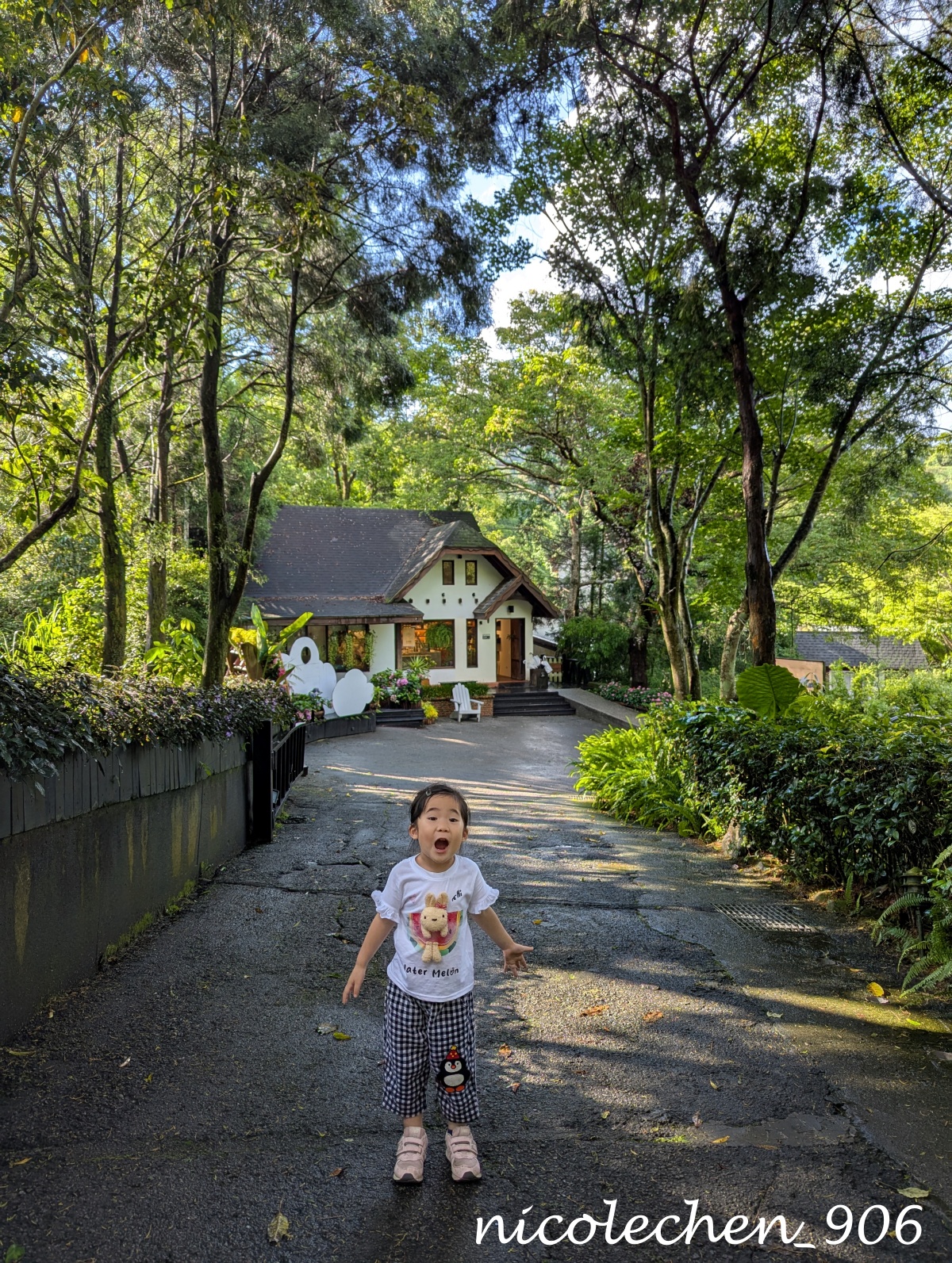 ﹝親子採果﹞台中新社新峰農場採甜蜜桃∣產季到6月初∣人不會太多採果品質好∣採完蜜桃可以再去薰衣草森林看繡球花∣台中親子一日遊∣新社景點∣ - 第21張圖